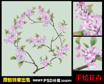 手绘花卉