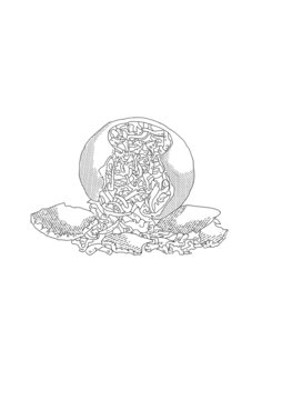 小青柑