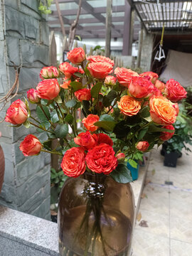 月季花
