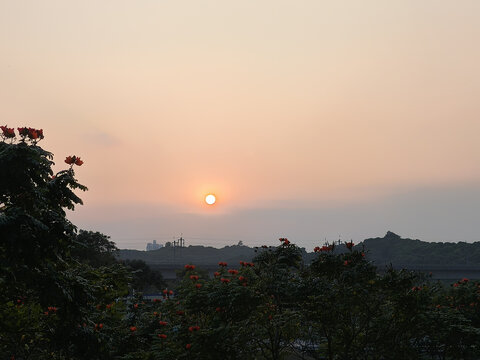 夕阳