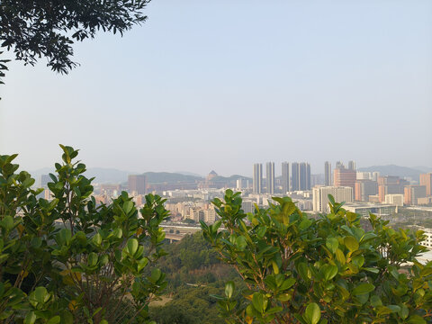 城市风景