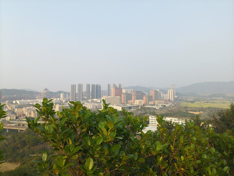 城市风光