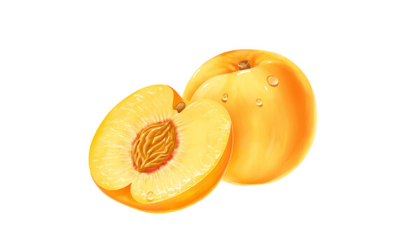 手绘黄桃