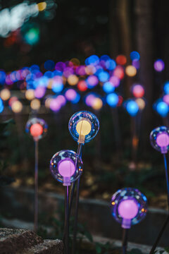 夜间梦幻彩色球形灯户外灯光景观