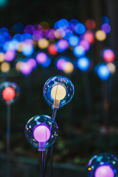 夜间梦幻彩色球形灯户外灯光景观