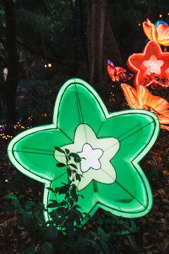 夜间绿色五星花卉彩灯独特景观