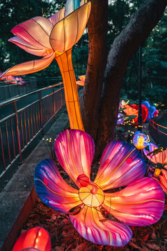 夜间绚丽花卉彩灯户外梦幻景观