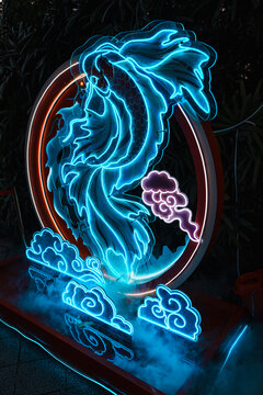 夜间霓虹锦鲤彩灯梦幻国风造型
