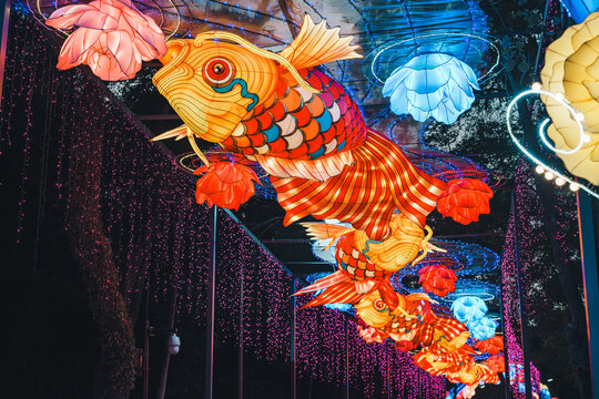 夜间锦鲤花卉彩灯绚丽空中造型