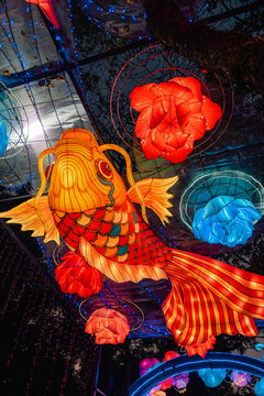 夜间锦鲤花卉彩灯绚丽空中造型