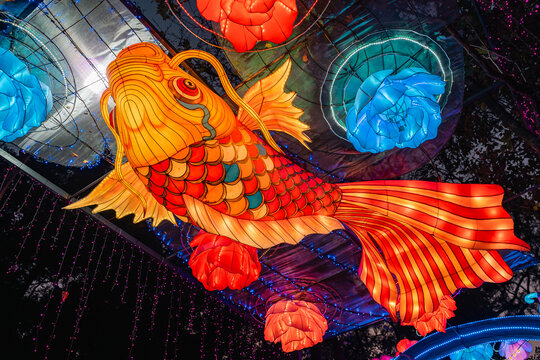 夜间锦鲤花卉彩灯绚丽空中造型