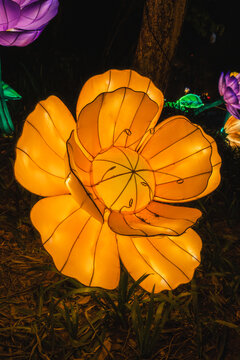 夜间黄色花卉彩灯温馨光影景观