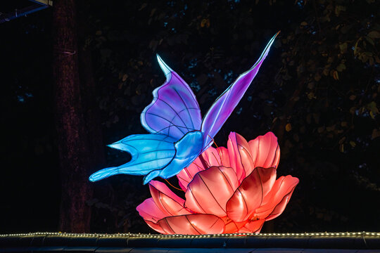 夜间蝶花彩灯梦幻光影艺术景观