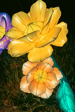 夜间双花彩灯绚丽色彩精致造型