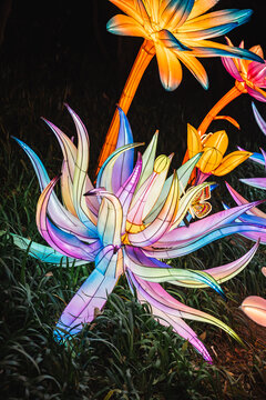 夜间多彩花卉彩灯梦幻户外景观