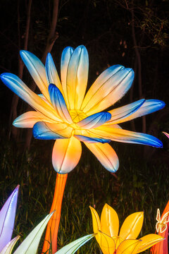 夜间绚丽花卉彩灯唯美灯光景观