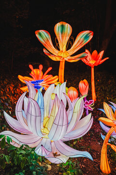 夜间花卉彩灯群梦幻绚丽景观