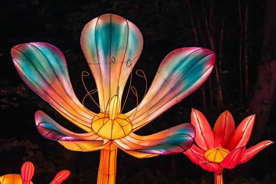 夜间多彩花卉造型梦幻彩灯景观