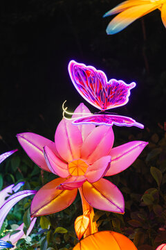 夜间蝶栖花卉绚丽彩灯精致造型