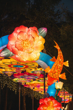 夜间锦鲤花卉彩灯绚丽造型景观