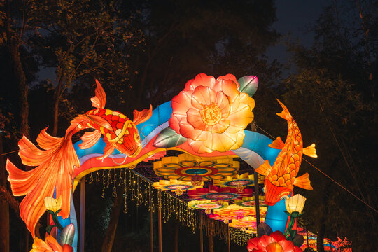夜间锦鲤花卉彩灯绚丽造型景观