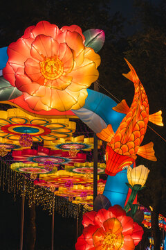 夜间锦鲤花卉彩灯绚丽造型景观