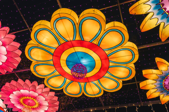 夜间大型花卉彩灯绚丽空中景观
