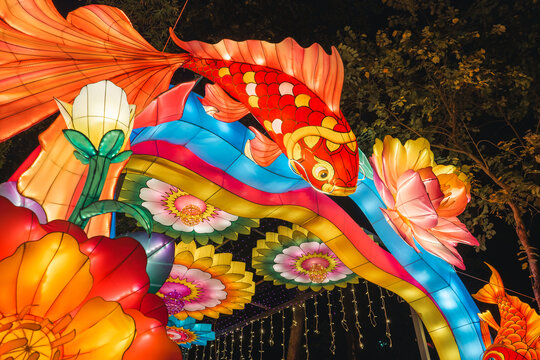 夜间锦鲤花卉彩灯绚丽造型景观