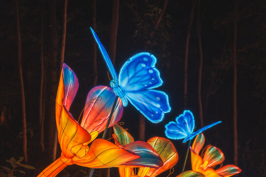 夜间蝶花主题绚丽彩灯艺术景观