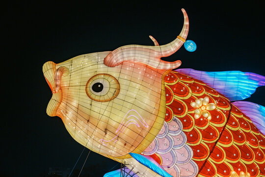 夜间大型彩色鲤鱼造型彩灯特写