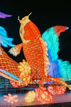 夜间鲤鱼花卉大型彩灯艺术造型