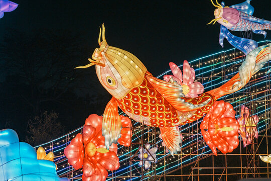夜间鲤鱼花卉大型彩灯艺术造型