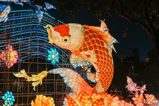 夜间鲤鱼花卉大型彩灯艺术造型
