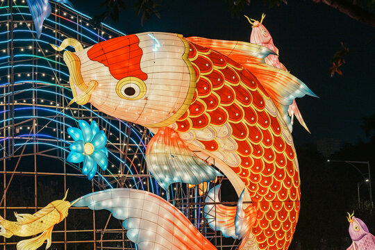 夜间鲤鱼花卉大型彩灯艺术造型