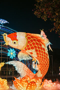 夜间鲤鱼花卉大型彩灯艺术造型