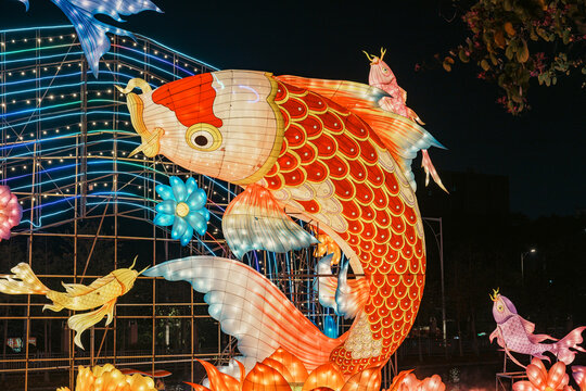 夜间鲤鱼花卉大型彩灯艺术造型