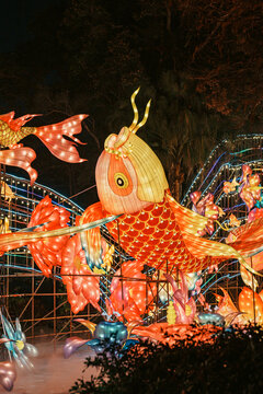 夜间大型鲤鱼花卉主题彩灯景观