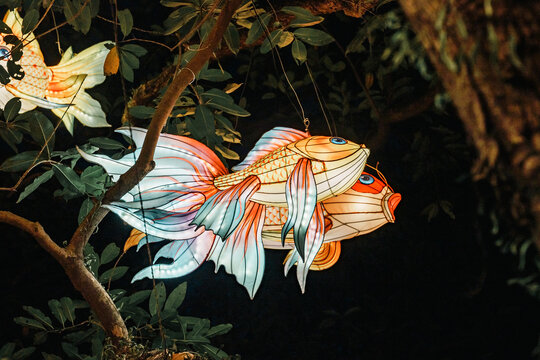 树上双金鱼造型彩灯夜间景观
