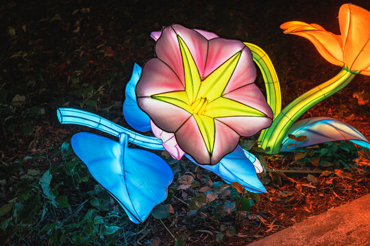 夜间绽放的彩色花卉造型彩灯