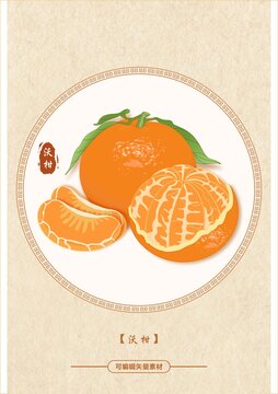 沃柑矢量插画