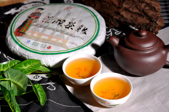 云南普洱茶生茶汤色
