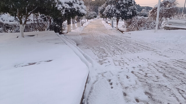 雪铺满地