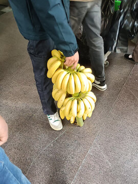 香蕉