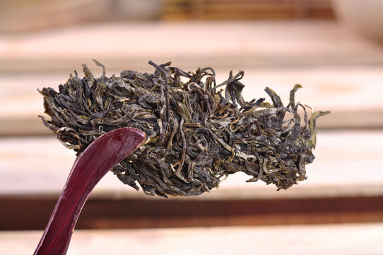 云南普洱茶生茶细节