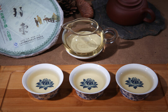 云南普洱茶生茶汤色