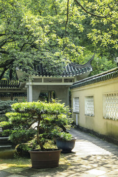 重庆鹅岭公园鹅顶山庄