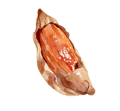 item.picName