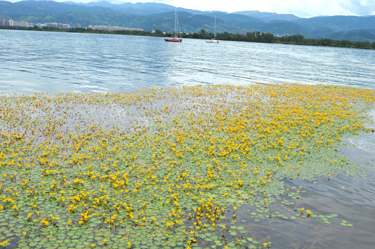 西昌邛海