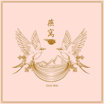 燕窝包装插画