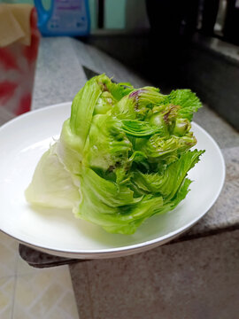 儿菜